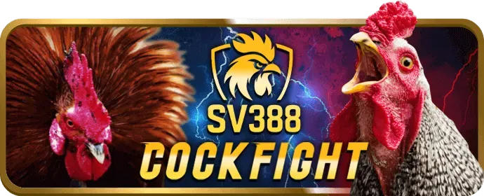 Chương trình VIP 56wun